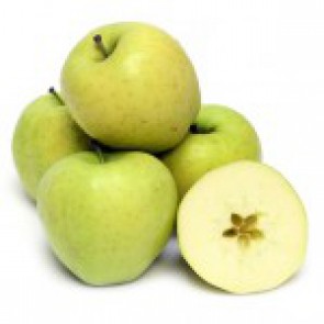  Omuz Bağlama Halka Kemer Tulum